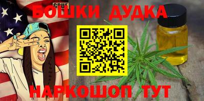 индика Обь