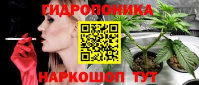 дживик Обнинск