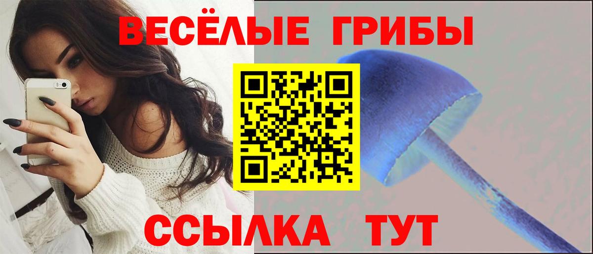 Галлюциногенные грибы Cubensis  Галлюциногенные грибы GOLDEN TEACHER  Северобайкальск  Вход с VPN 